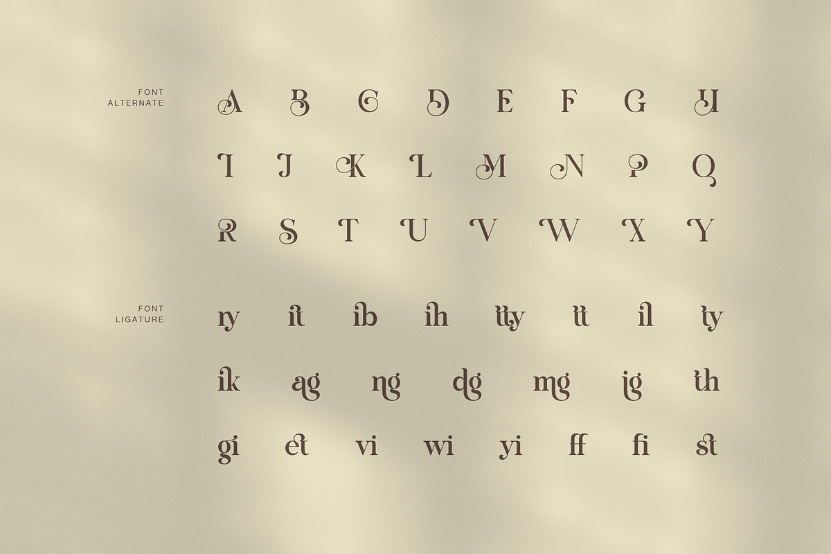 Amonty Contrast Serif Font, a Serif Font by Graphicxell (Photo 8 of 8)