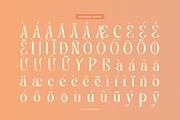 Promised Freyna Modern Display Serif, a Serif Font by Denustudios (Thumbnail 12 of 13)