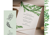 Watercolor Herb Collection, an Illustration by One and Only Paper (Thumbnail 7 of 7)