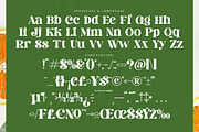 Dream Silvers Modern Serif Font, a Serif Font by timelesstype.co (Thumbnail 18 of 20)