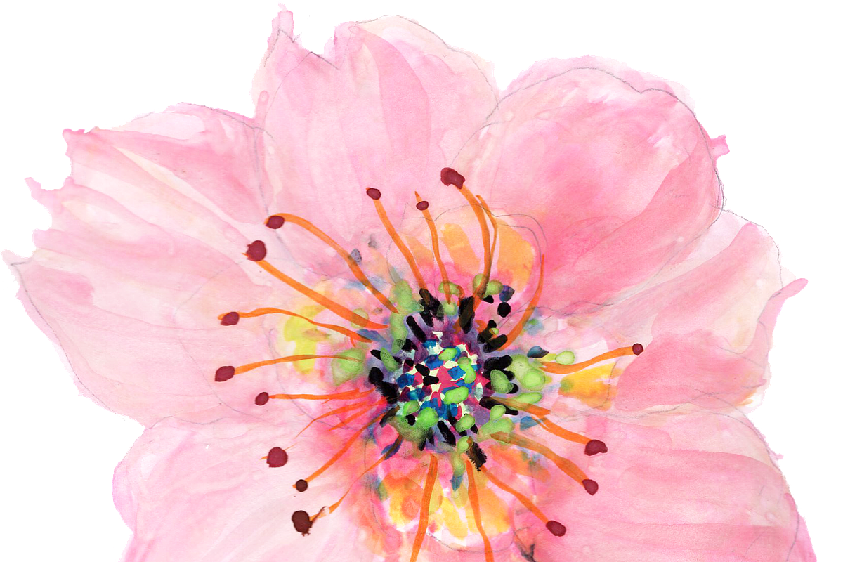 Handpainted Flowers, an Illustration by Karen Fields Design (Photo 3 of 4)