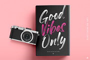 Black Caviar SVG Font, a Script Font by Ivan Rosenberg (Thumbnail 8 of 10)