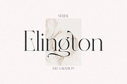 Dealoras Font Duo, a Serif Font by Attract Studio (Thumbnail 2 of 17)