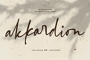 akkardion handwritten font, a Script Font by Quothron
