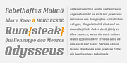 Vivala Milk, a Slab Serif Font by VivalaType (Thumbnail 4 of 5)