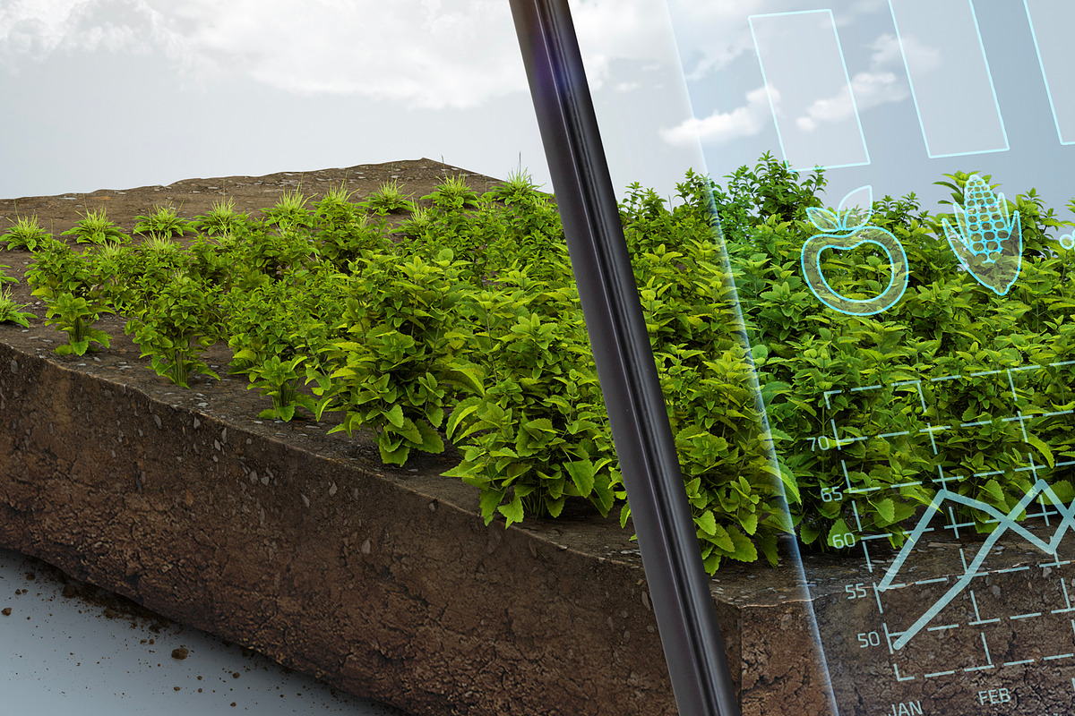 Digital or online farming concept, a Technology Illustration by Nomad (Photo 2 of 4)