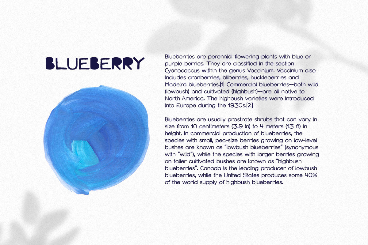 Blueberry Spot font, a Sans Serif Font by kaer_shop (Photo 5 of 6)