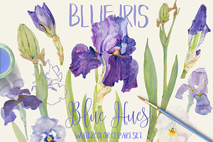 BLUE IRIS - watercolor clipart set, an Illustration by watercolorwild.graphics