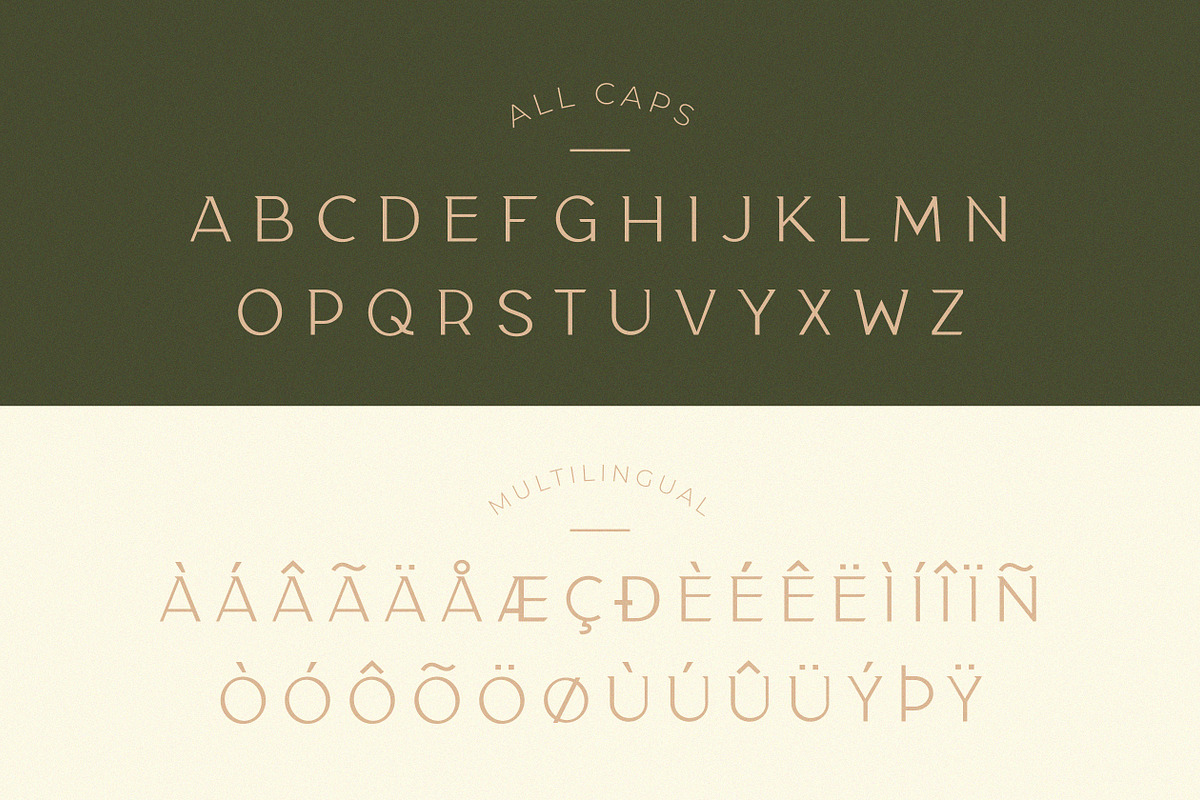 Classy Taylor Typeface, a Serif Font by CCS Type (Photo 19 of 24)