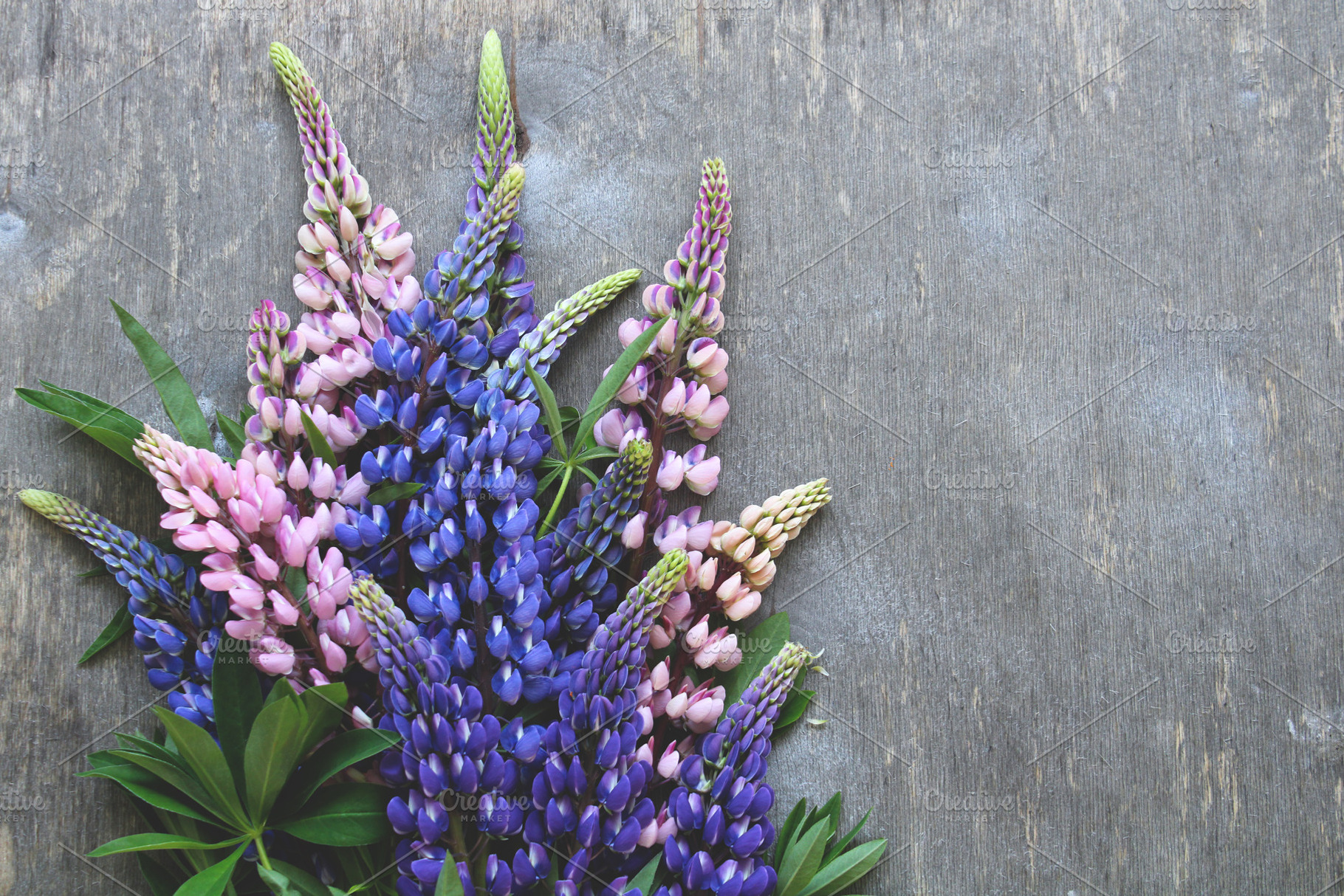 floral background with lupines, a Background Photo by BalaguR