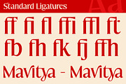Mavitya, a Serif Font by Dora Typefoundry (Thumbnail 5 of 12)