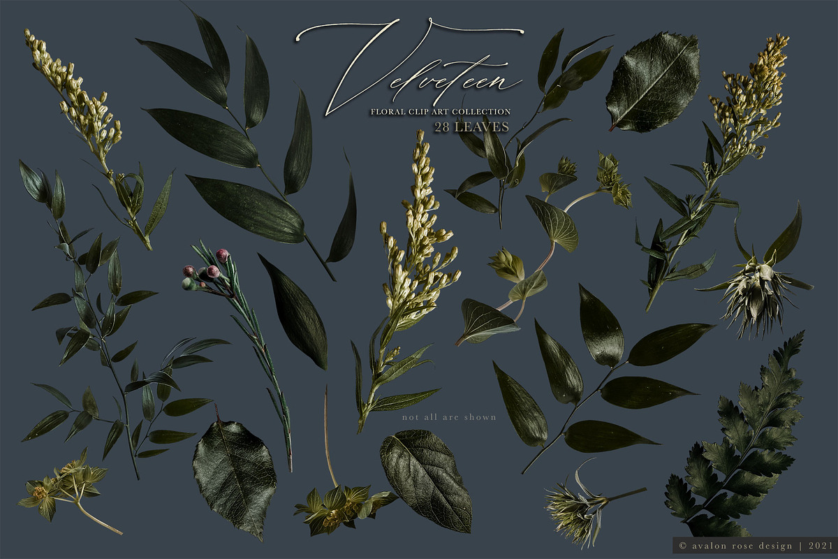 Velveteen Floral Clip Art Collection, an Object Graphic by Eclectic Anthology (Photo 18 of 19)