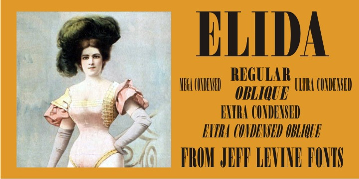Elida JNL, a Serif Font by Jeff Levine Fonts