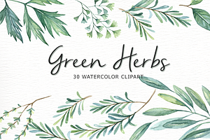 Green Herbs Watercolor Clipart