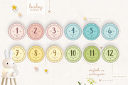 Monthly Baby Stickers, an Object Graphic by Yuka Baby (Thumbnail 1 of 4)