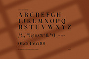Gista Elegant Serif Font, a Serif Font by Perfectype (Thumbnail 8 of 8)