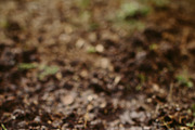 iPhone Dirt Mockup Set, an iPhone Mockup by Mockura (Thumbnail 5 of 5)