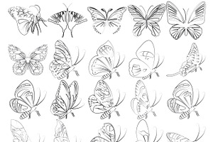 Butterflies Set 1-5 Procreate Brush