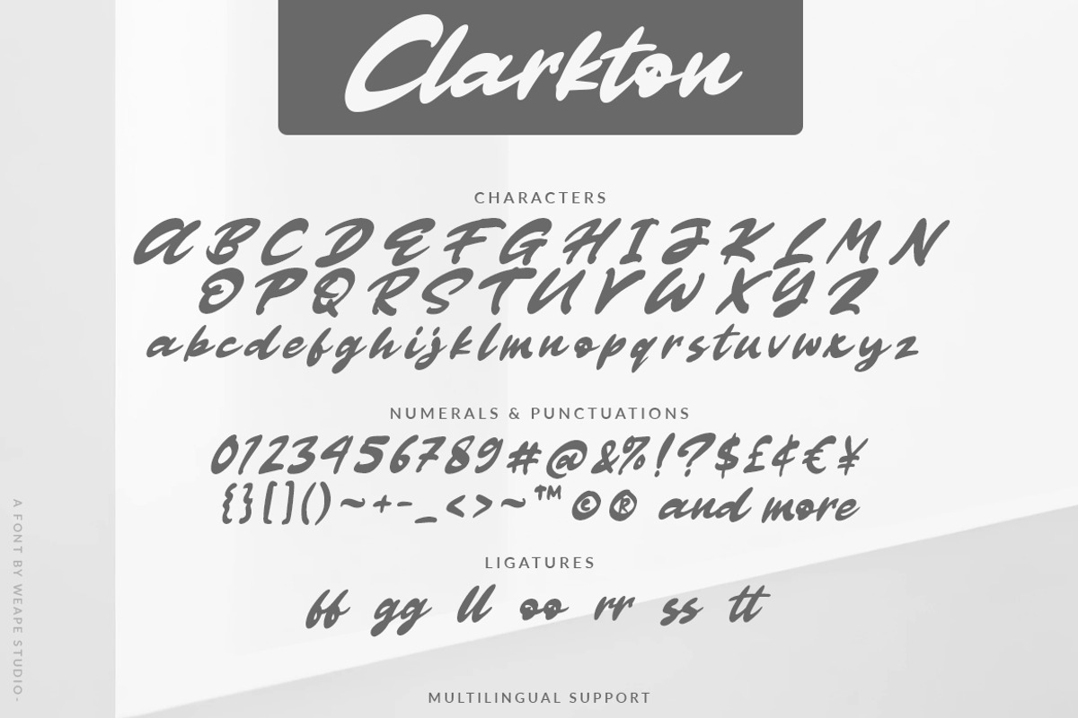 Clarkton - Bold Script Font preview 7