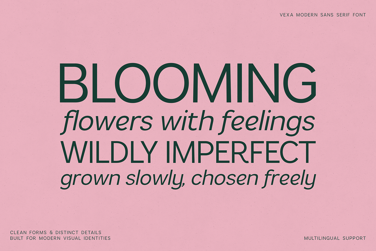 Vexa Modern Sans Serif Font, a Sans Serif Font by Only Fonts (Photo 7 of 12)