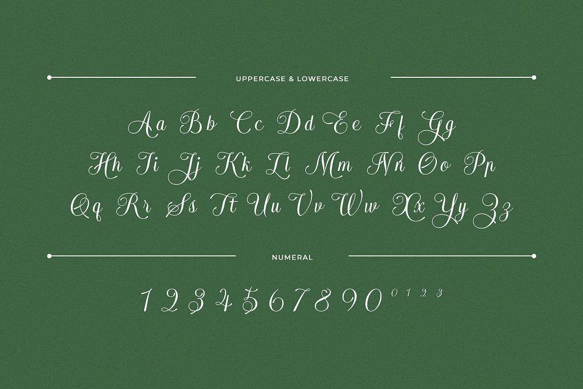 Arachis – Elegant & Modern Script, a Script Font by Almeera Std (Photo 9 of 10)