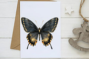 Black & Gold Luxury Clipart, an Illustration by Designworld (Thumbnail 6 of 9)