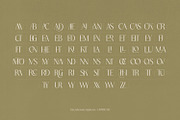Tremella - Modern Branding Font, a Serif Font by creativemedialab (Thumbnail 8 of 10)