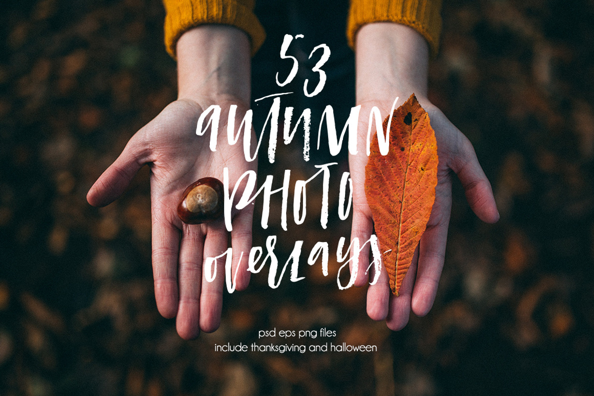 Autumn overlays, an Object Graphic by Artnis (Photo 1 of 9)