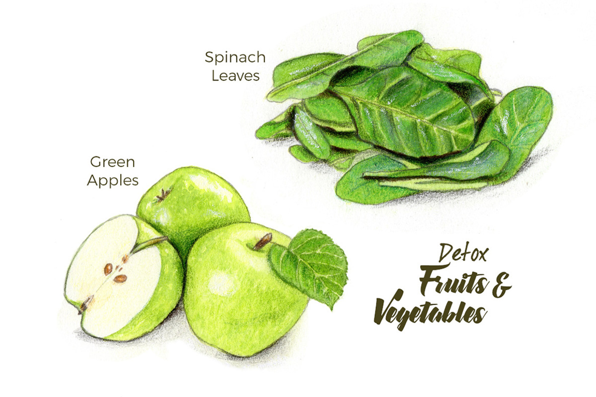 10 Green Smoothie Ingredients, a Healthcare Illustration by Miriam Figueras (Photo 5 of 6)