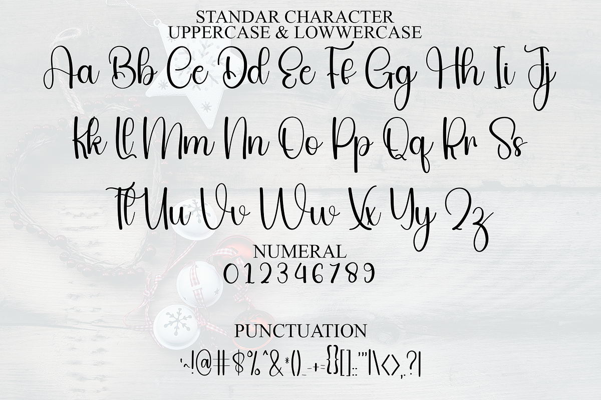Diligent Christmas, a Handwritten Font by FreshTypeINK (Photo 8 of 8)
