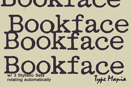 Bookface TM – Dynamic Grunge-y Type