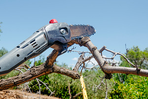 a pruning chainsaw cuts a branch outdoors in summer, a Photo by Nito