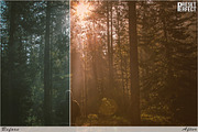Autumn Bloom Lightroom Presets, an Action Add-On by Preset Perfect (Thumbnail 5 of 5)