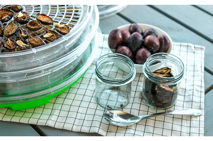 Plums dried in a dehydrator, a Food & Drink Photo by yanadjana