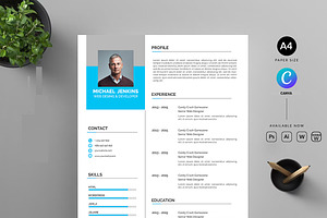 Clean Resume CV