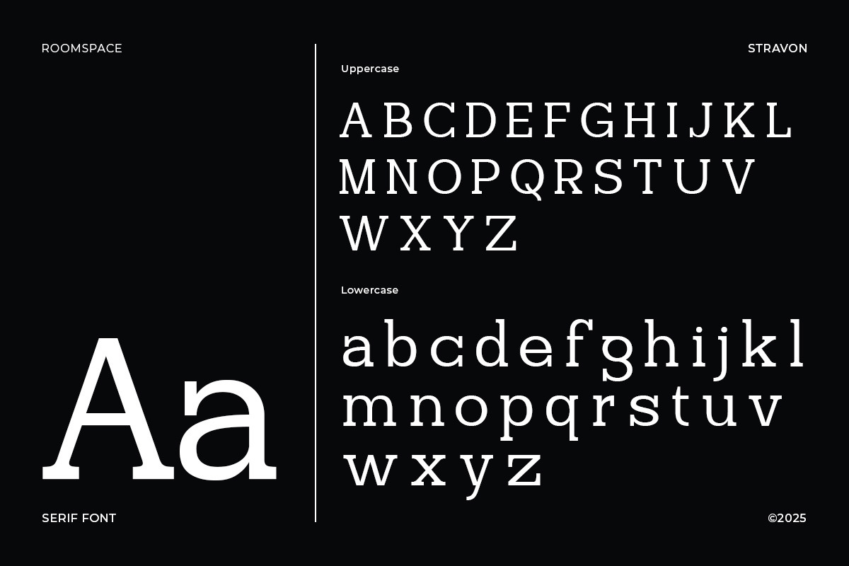 Stravon - Corporate Logo Modern, a Serif Font by roomspace creative lab (Photo 11 of 11)