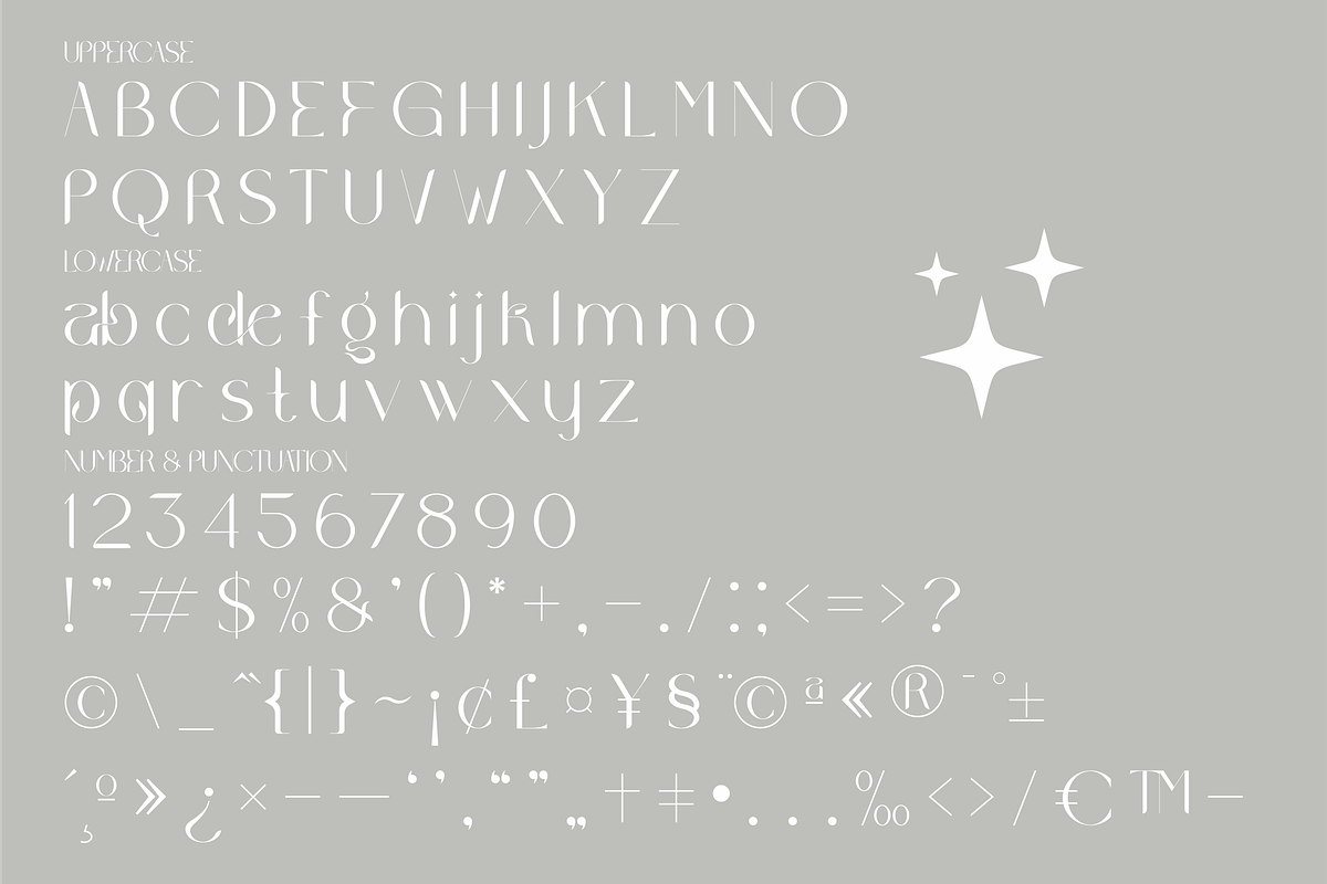 Wakile Stylish Serif Font, a Serif Font by Storytype Studio (Photo 7 of 9)
