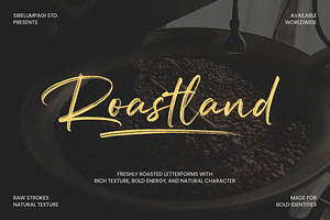 Roastland - Natural Brush Font