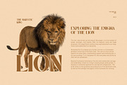 Surong Elegant Serif Font Typeface, a Serif Font by Graphicxell (Thumbnail 4 of 10)