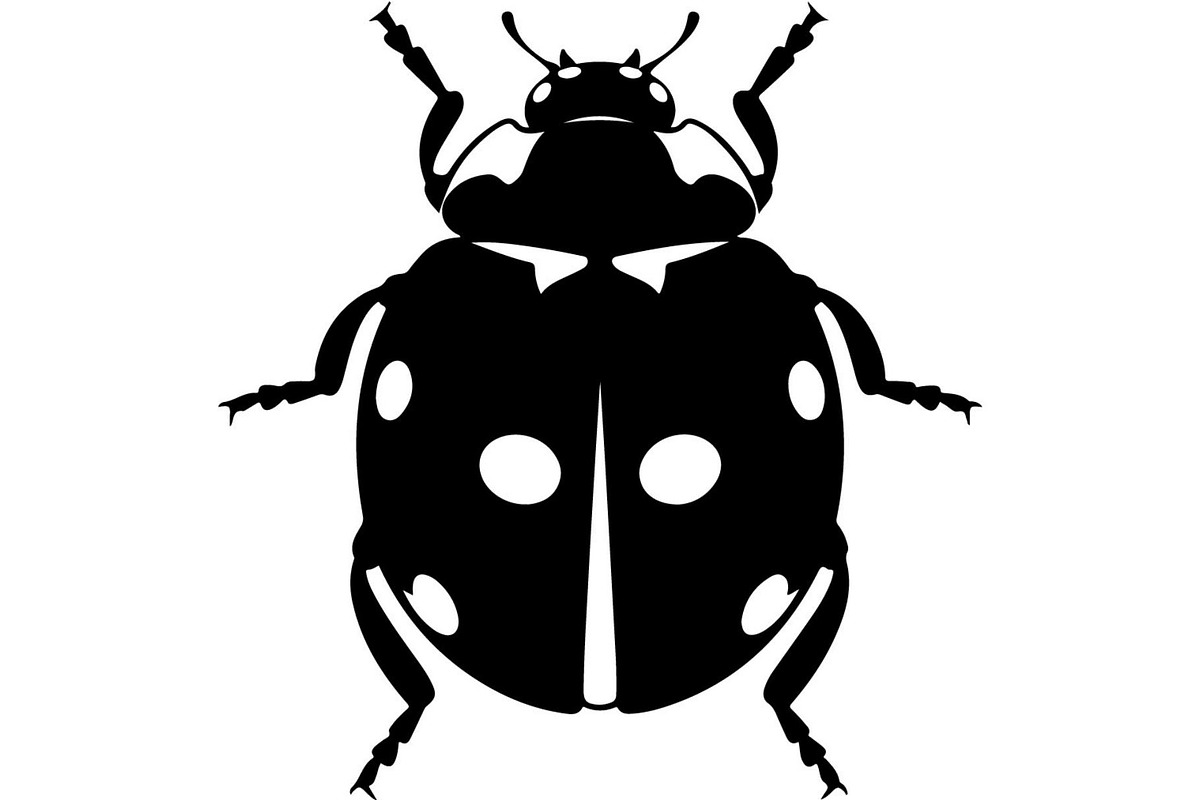 Ladybug Silhouette, an Object Graphic by Designer_Momina (Photo 9 of 20)