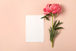 Minimal styled stock mockup photo featuring card, greeting card mockup, and