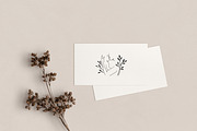 BELLY LOVE NO.2 / vector & png, an Illustration by KruthDesign (Thumbnail 9 of 9)