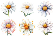 Daisy Flower Bloom Clipart, an Illustration by DreamArtGraphic (Thumbnail 3 of 4)