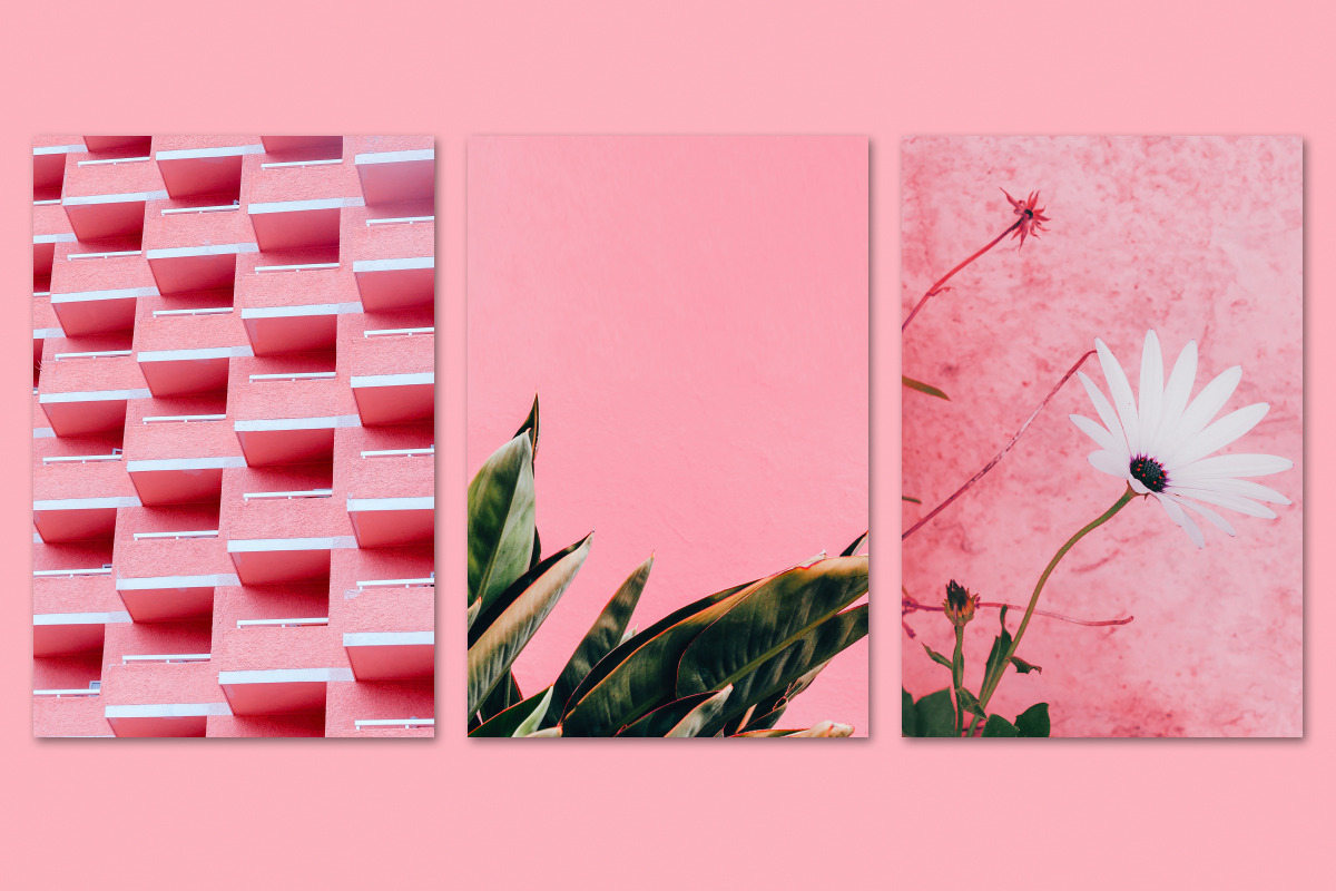 Minimalist pink bundle 12, a Beauty & Fashion Photo by Jenya Porechenskaya (Photo 5 of 7)