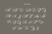 Palm Beach Modern Script Font, a Script Font by Muntab_Art (Thumbnail 9 of 10)