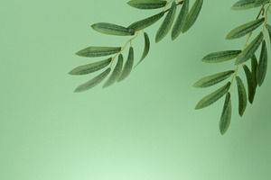 Wooden cylindrical podium or display stand sits on green backgro, a Background Photo by ndanko