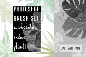 Photoshop Brush Set WATERCOLOR PLANT