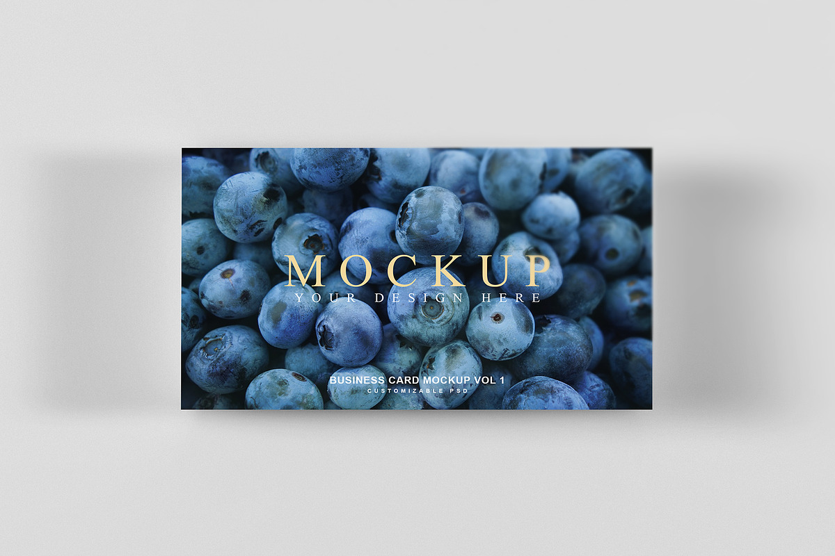 Business Card Mockup Vol 1, a Product Mockup by Honnum Graphic Art (Photo 8 of 16)