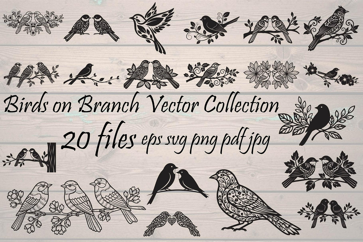 Birds on Branch Vector Collection, a Decorative Illustration by Designer_Momina (Photo 1 of 21)