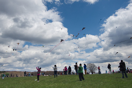 Flying Kites